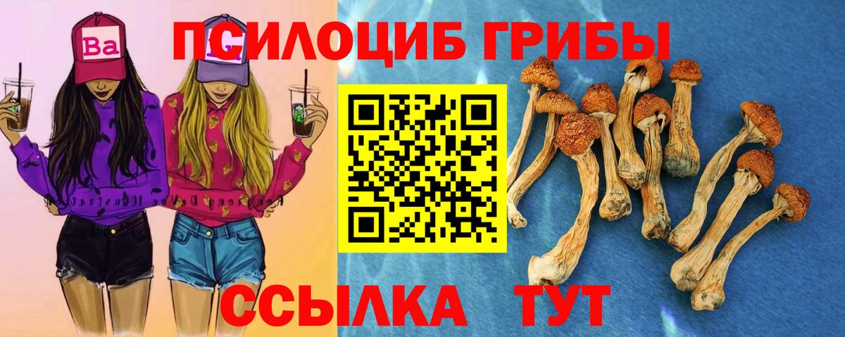 Псилоцибиновые грибы GOLDEN TEACHER Урюпинск